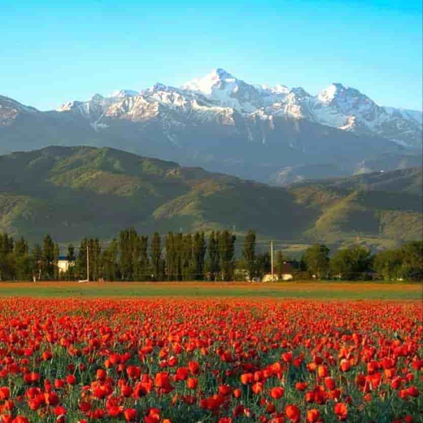 Kazakhstan 5 Nights 6 Days Itinerary