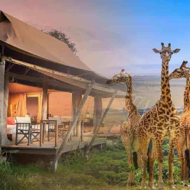Kenya 5 Nights 6 Days Itinerary