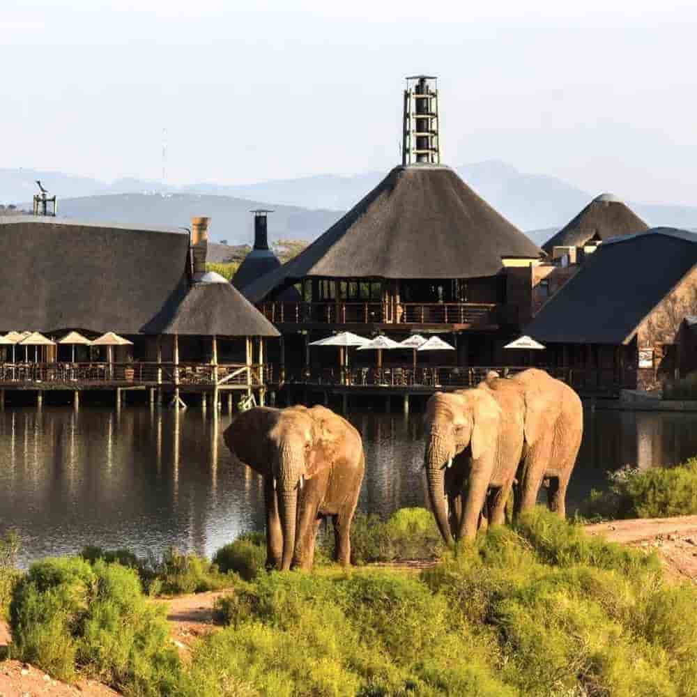 South Africa 5 Nights 6 Days Itinerary