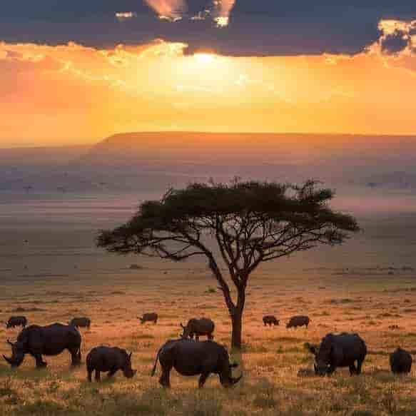 South Africa 7 Nights 8 Days Itinerary