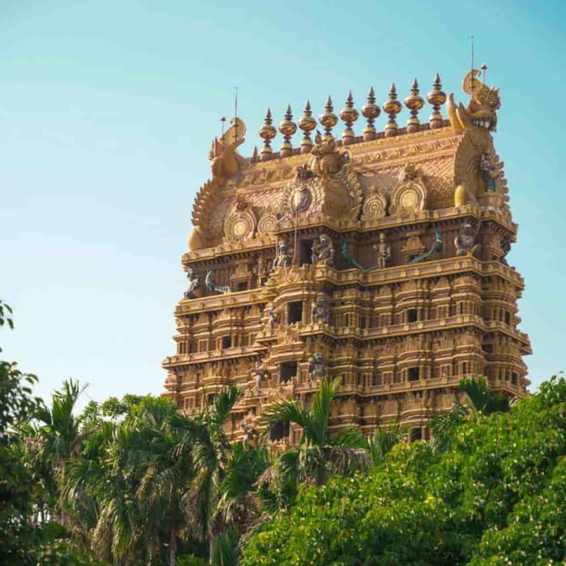Sri Lanka 7 Nights 8 Days Itinerary
