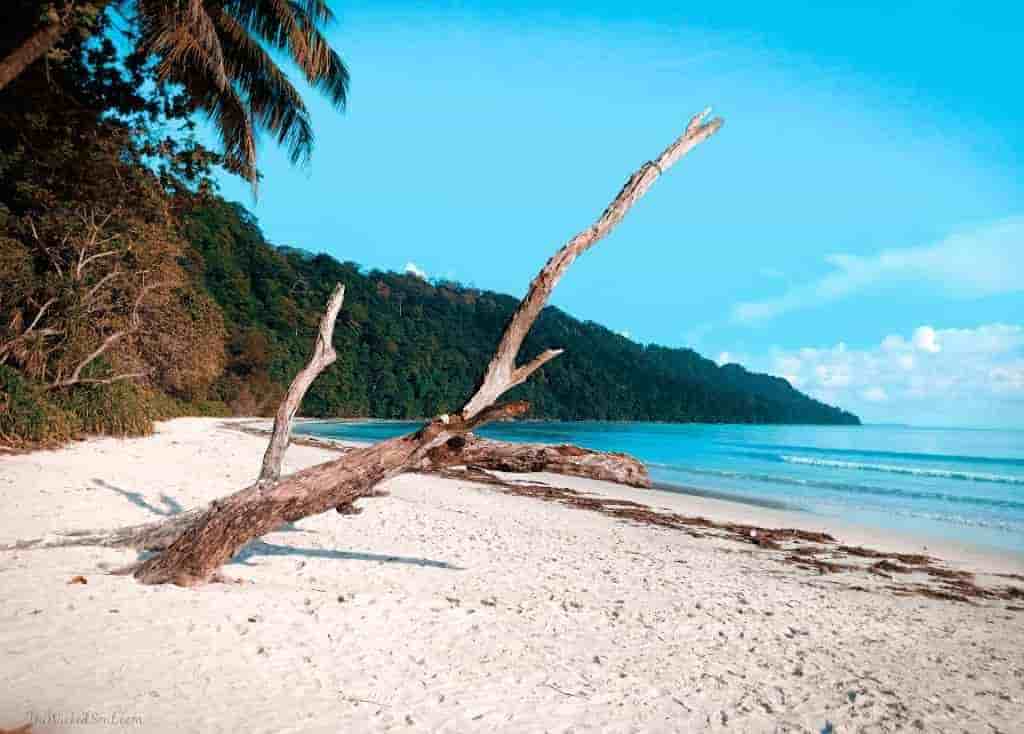 Andaman Packages