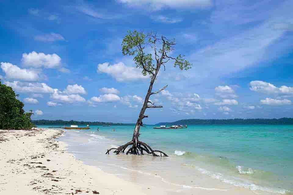 6 Night 7 Days with 2 night Havelock 1 Night Neil