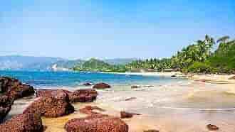 Goa Package 5 night 6 Day with Dudhsagar + Dolphin Watching