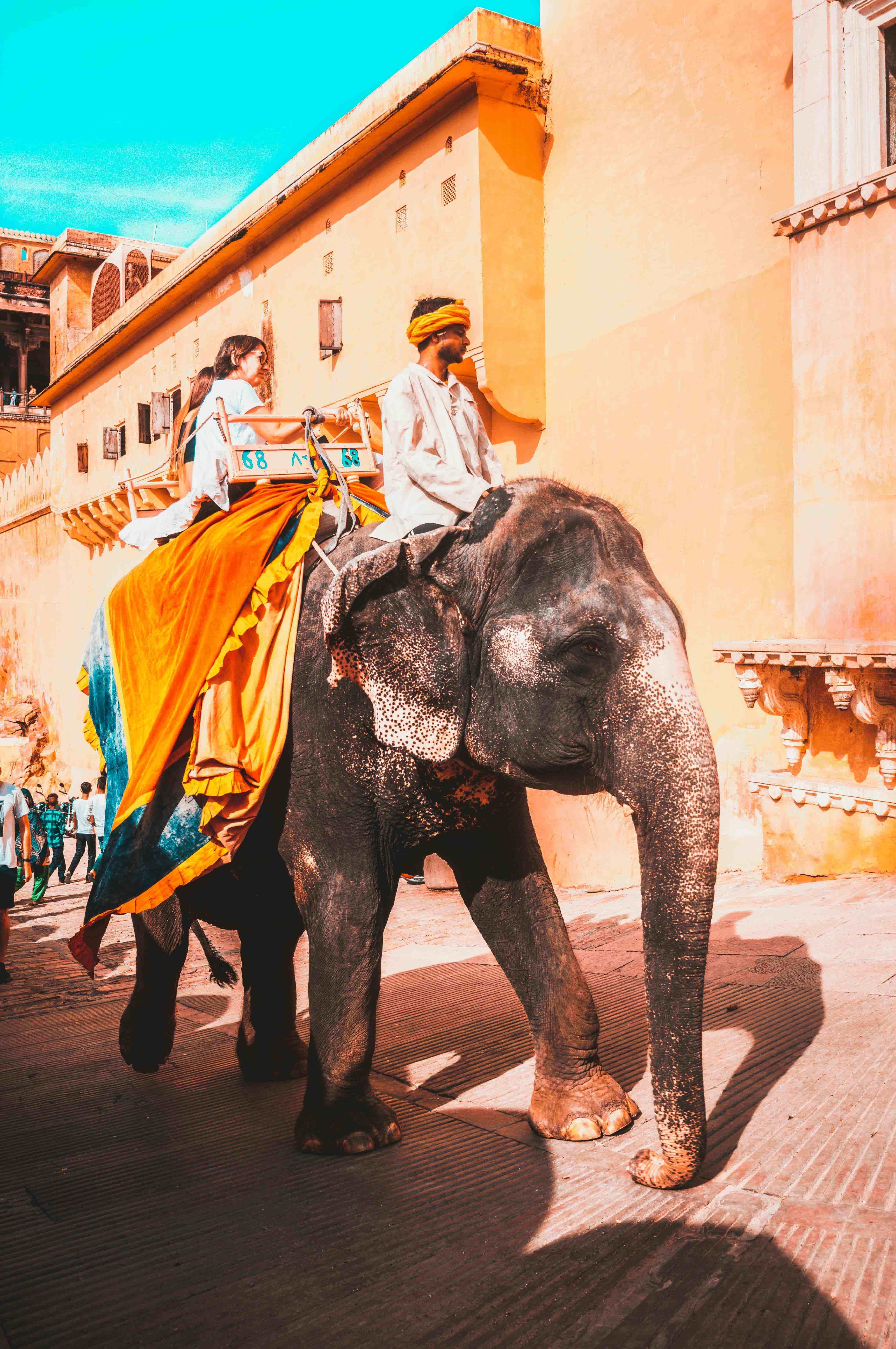 Golden Triangle Packages