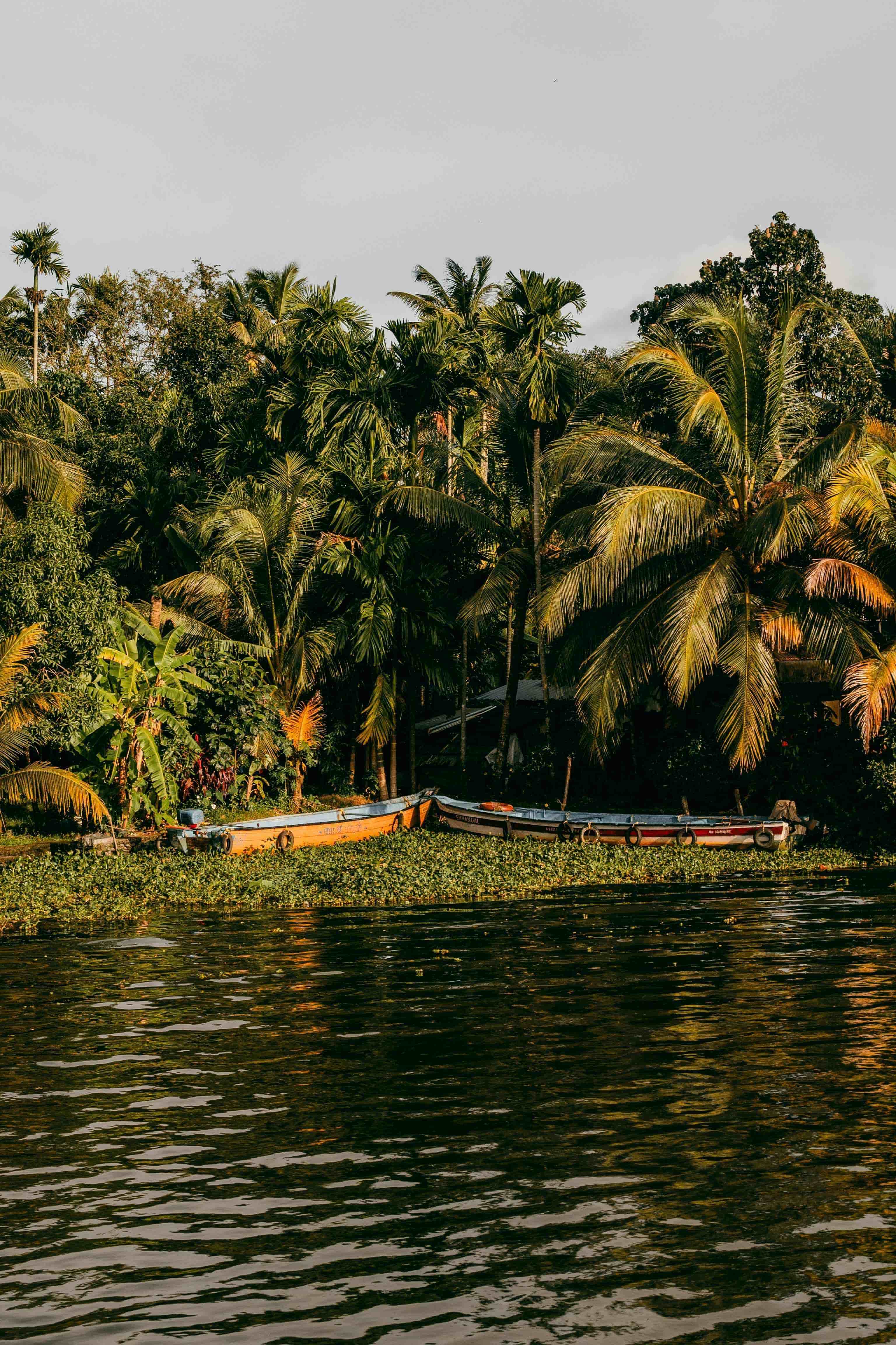 Kerala Packages