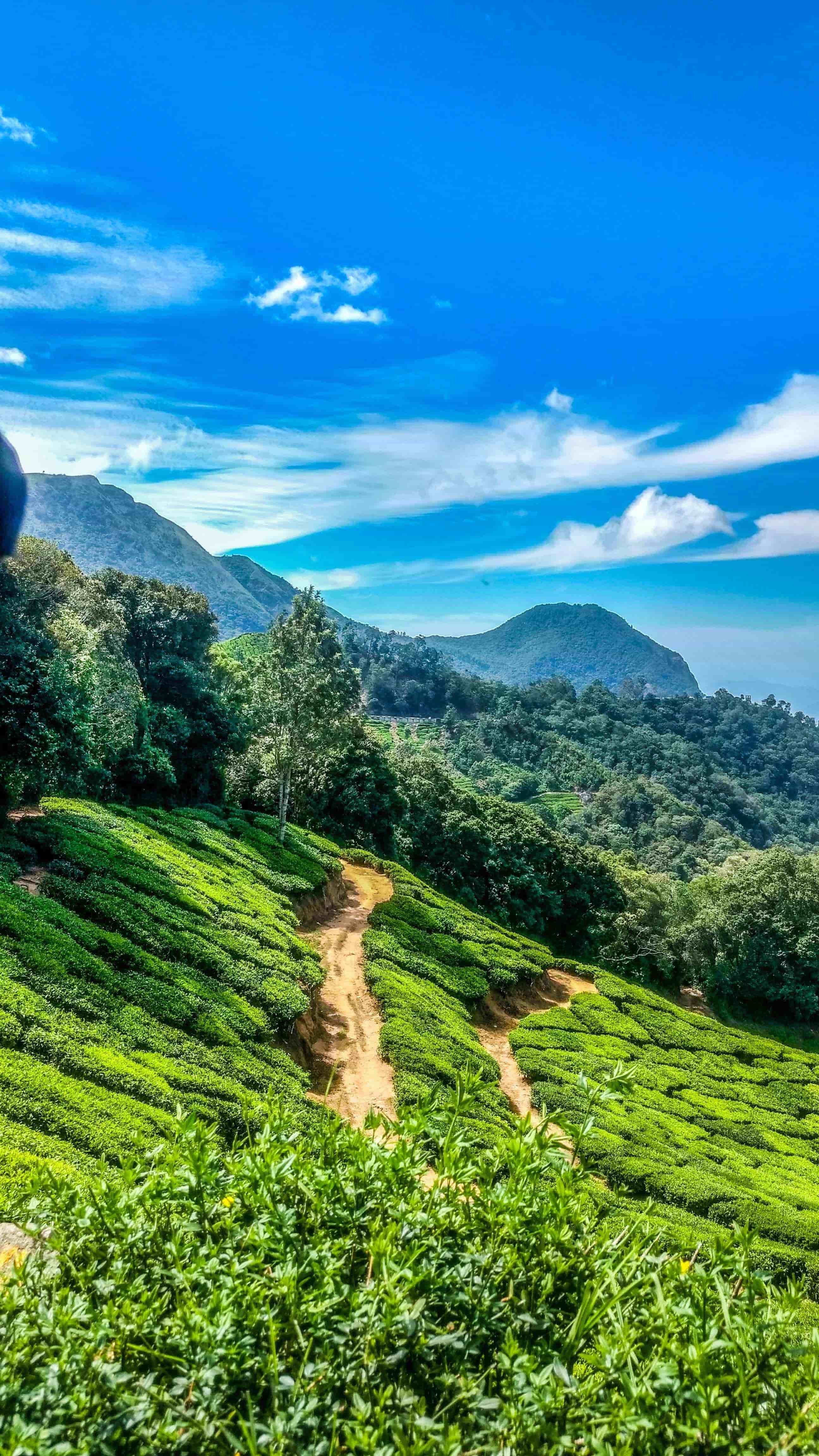 Kerala 5 Night 6 Days 