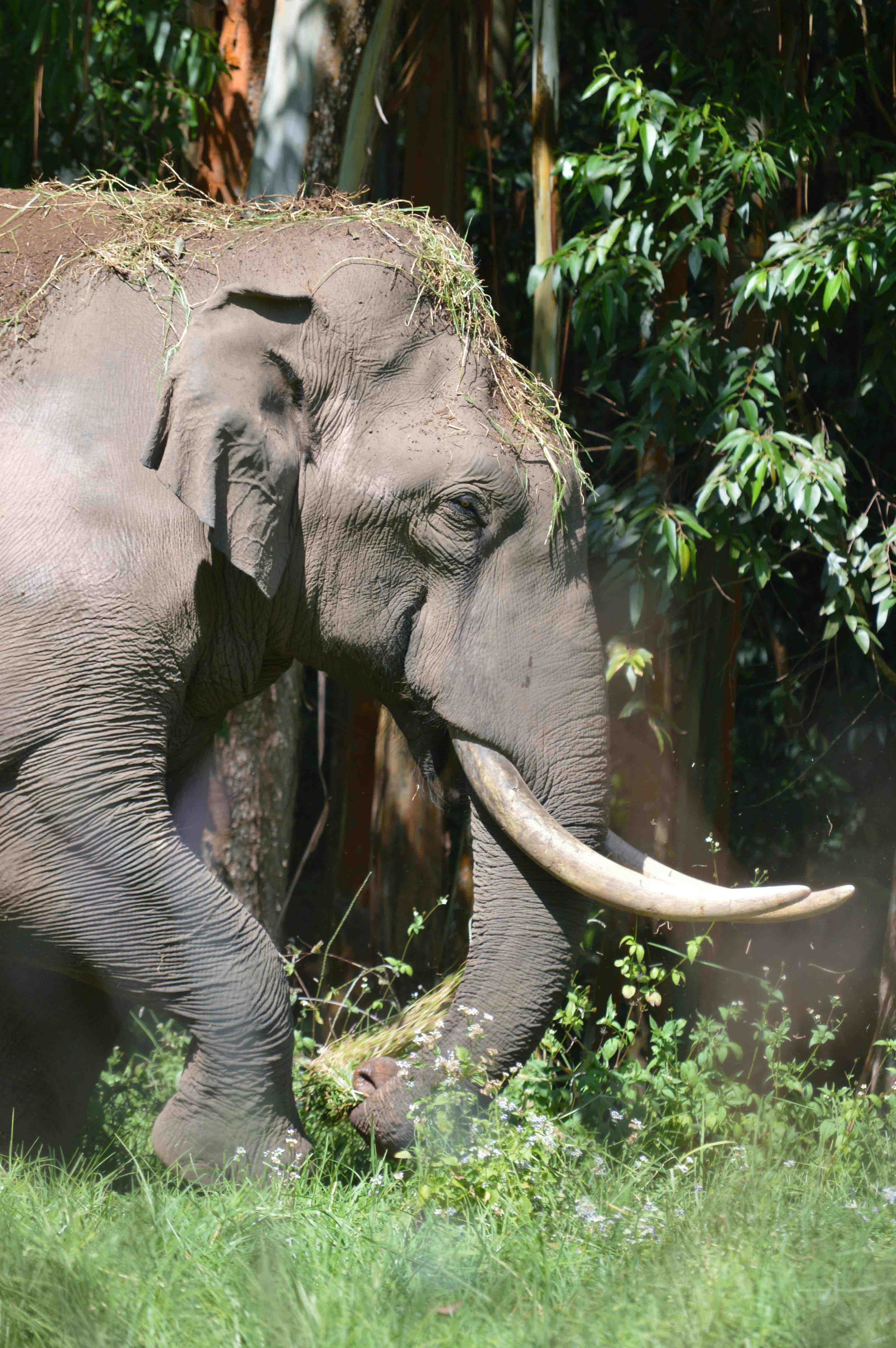 7 Night 8 Days Kerala