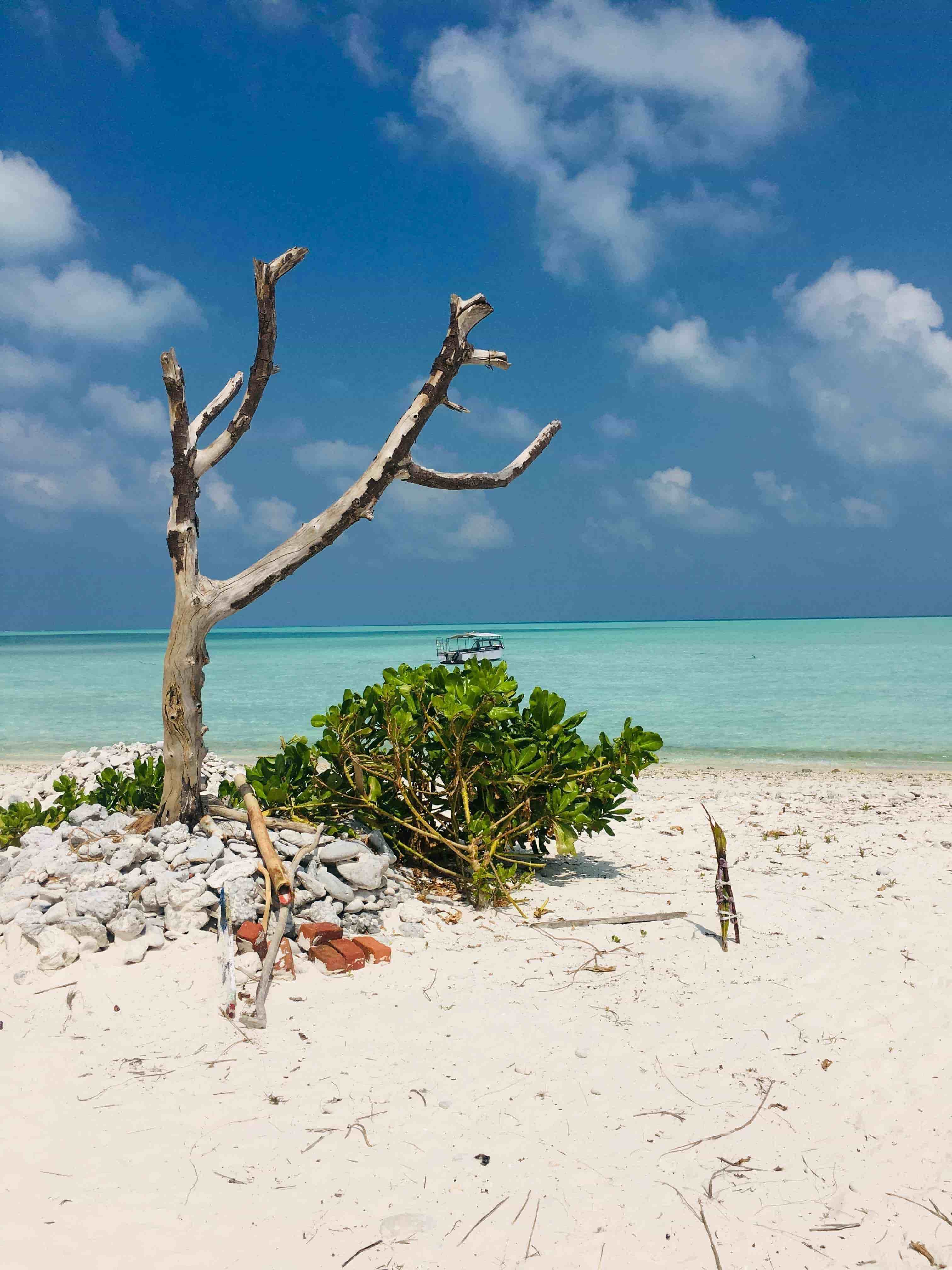 Lakshadweep Tour Packages