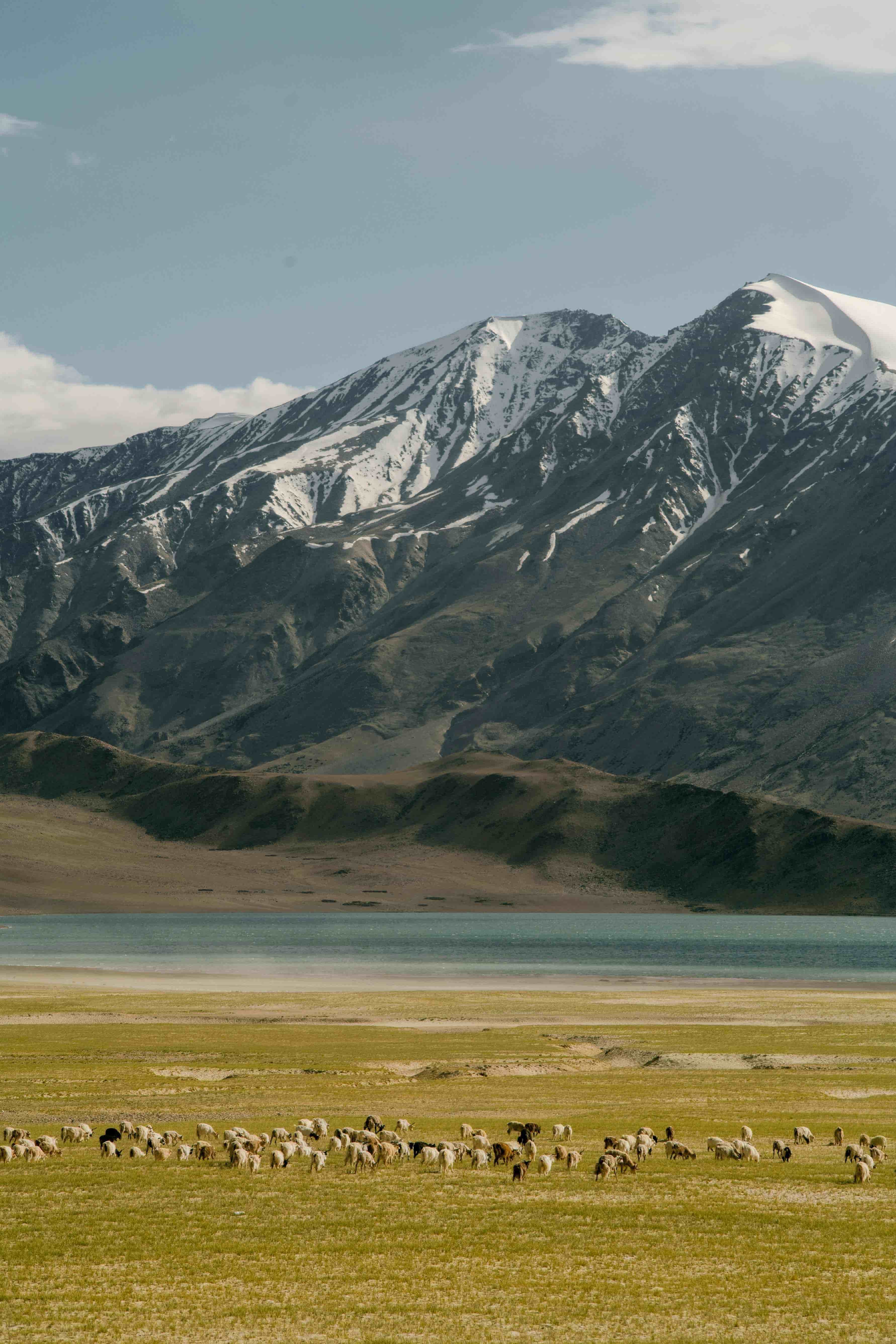 Leh-Ladakh 6 Night 7 Days