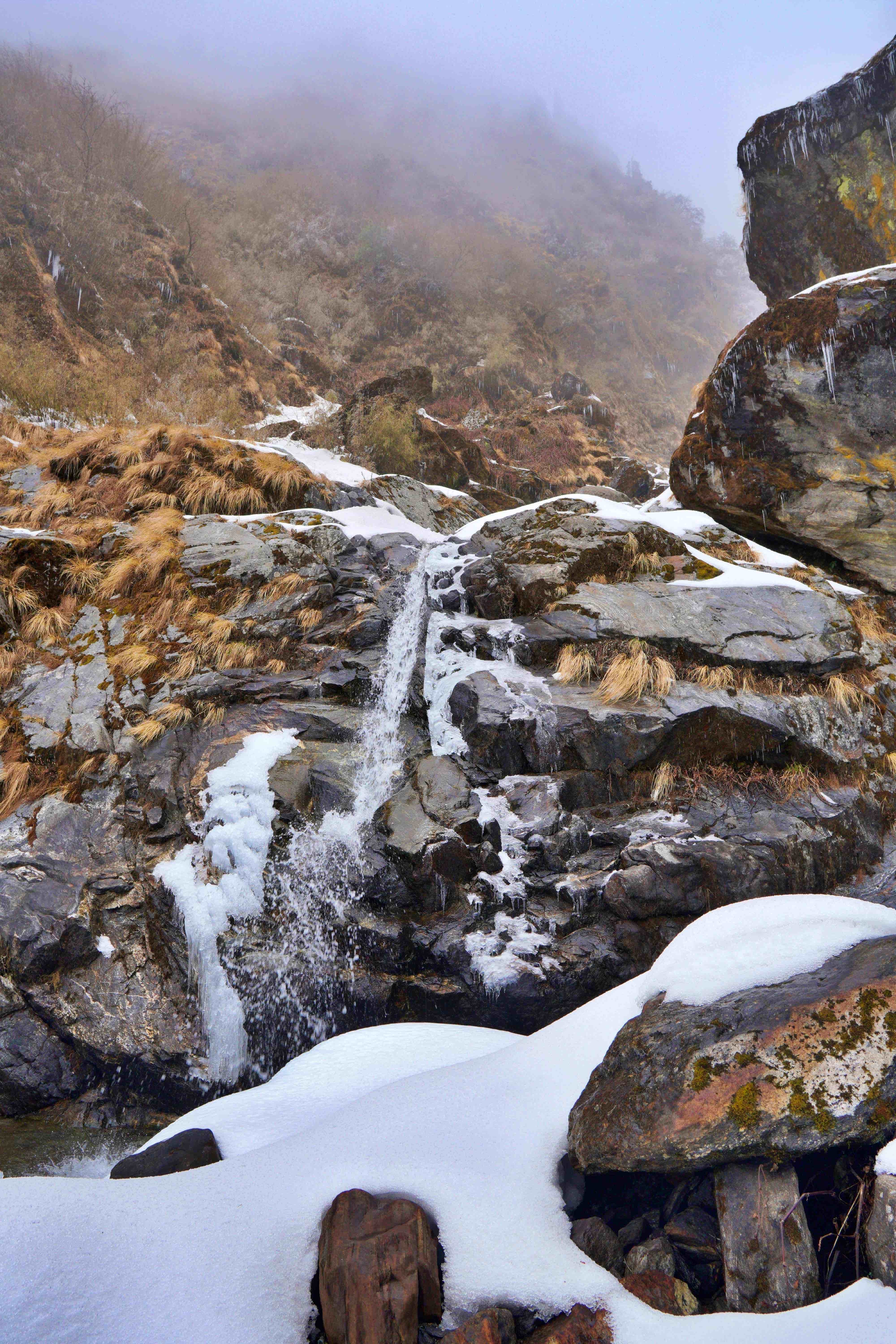 Darjeeling 3 Night 4 Days 