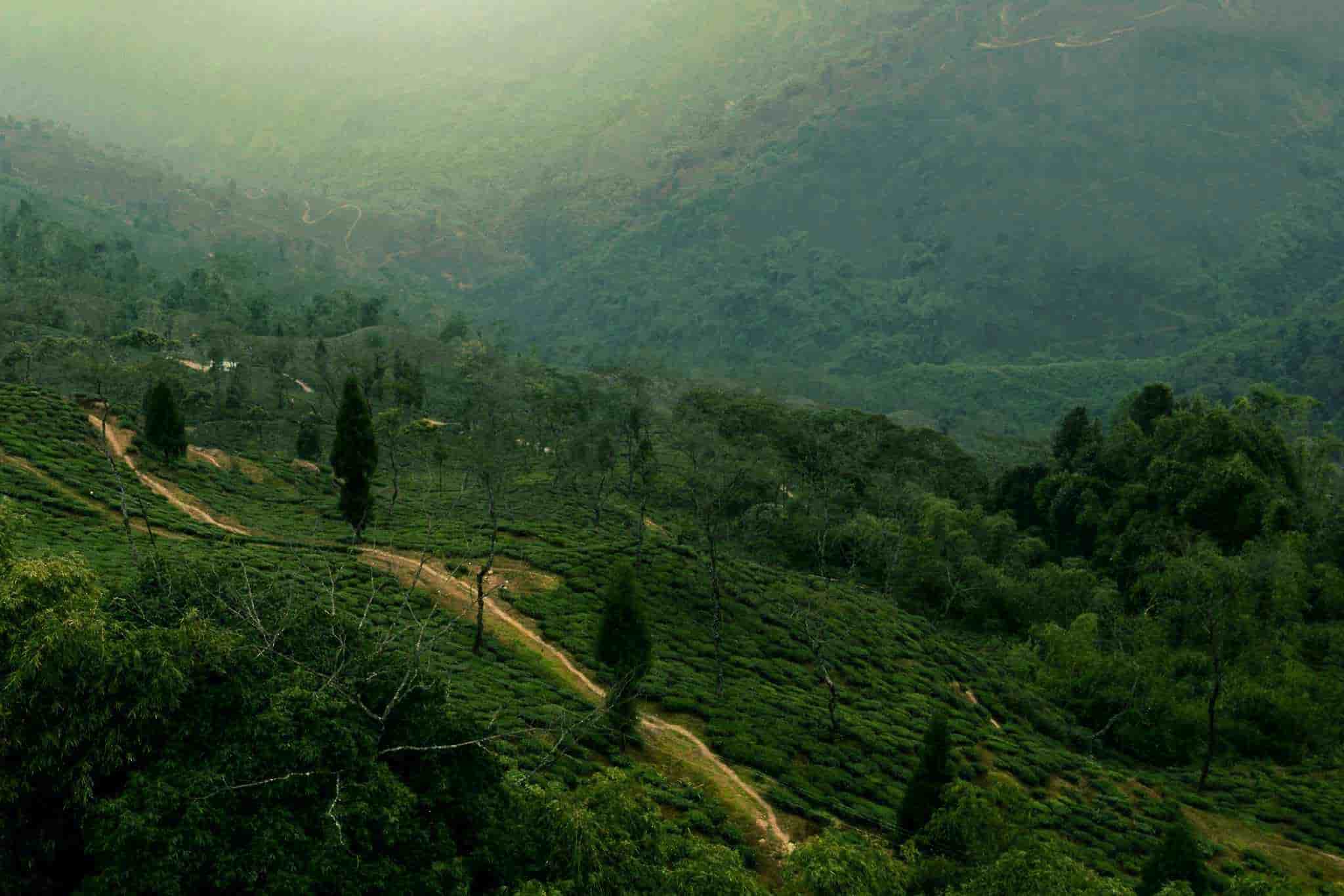 Gangtok - Darjeeling with Kalimpong  – Pelling 7 Night 8 Days 